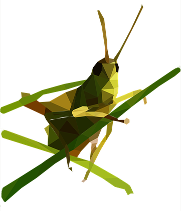 Zielono żółty owad